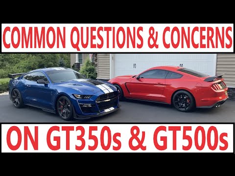 Common Questions & Concerns on Modern Shelby Mustangs