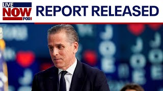 Hunter Biden case: Special counsel report released | LiveNOW from FOX