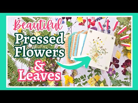 💐MUST TRY Garden-Inspired Pressed Flowers and Leaves, PLUS how to use them