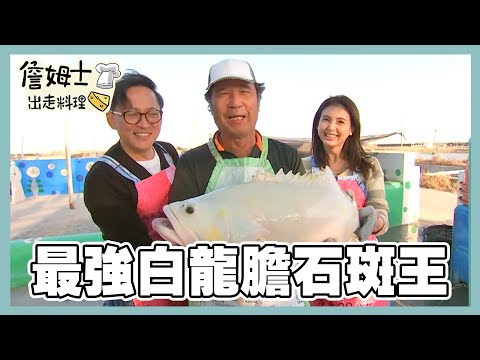 《精選詹姆士棒的-特輯EP40》澎湖現撈季節海鮮吃到飽!北門巨無霸生蠔、白龍膽石斑與爆膏大閘蟹 全台海味大搜索