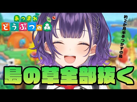 【#９ あつまれ どうぶつの森】島の草全部抜く新春スペシャル【七瀬すず菜/にじさんじ】