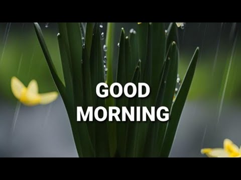 Ep-61/Good morning wishes with Beautiful images/Goodmorningvideostatus.subscribe @smilingthulasi3686