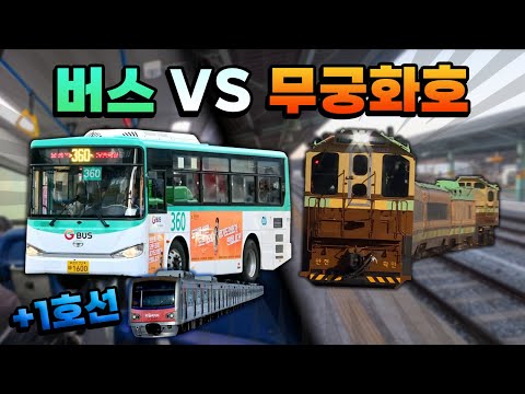 의정부에서 일영까지, 버스 vs 무궁화호! 둘 다 비슷한 경로에다 미친 속도로 질주한다?!