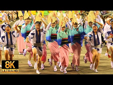 [Overwhelming group beauty! ] Awa Odori of the guys who are in perfect order - JAPAN in 8K