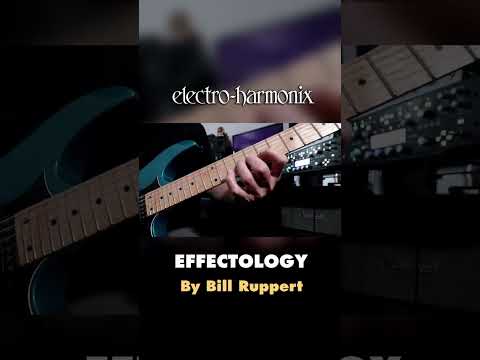 EHX Effectology by Bill Ruppert