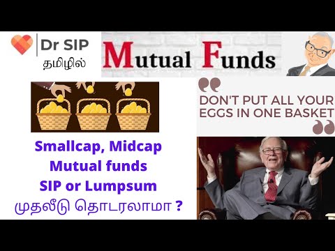 Small and Midcap mutual funds, Should I Continue? | Dr SIP