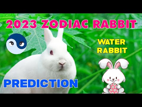 【Master Tsai】Rabbit Horoscope 2023 - Year of the Rabbit - Concise Forecast【Short】