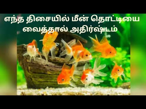 எந்த திசையில் மீன் தொட்டியை வைத்தால் அதிர்ஷ்டம்