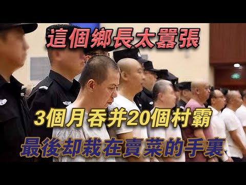 這個鄉長太囂張，3個月併吞20個村霸，最後卻栽在賣菜的手裡#噼里啪啦