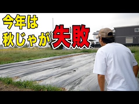 秋じゃが栽培に失敗　芽が出てこない