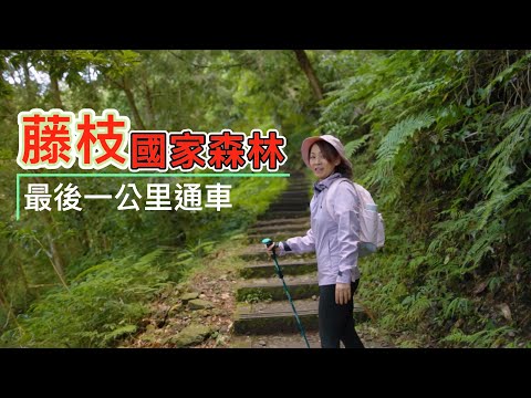 藤枝聯外交通已通車目前交通收費合理還是亂象？｜藤枝國家公園最新內部步道景觀