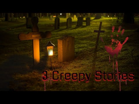 3 TRUE Horror Scary Stories