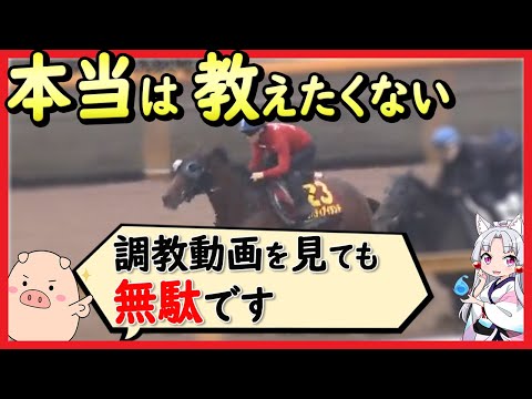 競馬の調教を見るコツは◯◯と△△の2点だけに注目しよう