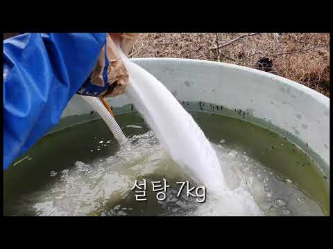 지성이면 감천/ 분무기 고장에도 영양제 살포 성공♡