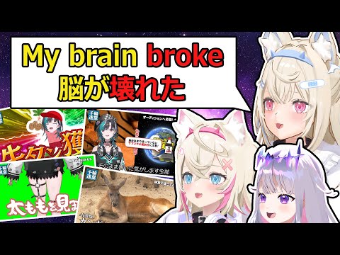 Fuwawa's brain broke 3 times from watching & TLing Chihaya's debut stream【Mococo/Bijou】【Eng/JP Sub】