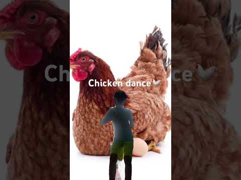 THE CHICKE DANCE!!!!!!!!!!!!!!!!!!!