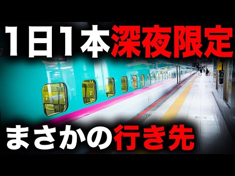 【終電】激レアすぎる東北新幹線に乗ってきた　やまびこ290号｜終電で終点に行ってみた#58