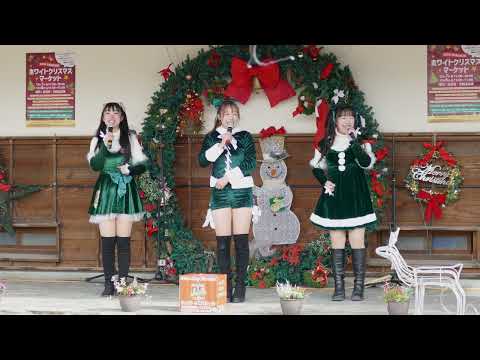 みちのく仙台ORI☆姫隊   ホワイトクリスマスマーケット 2024/12/8