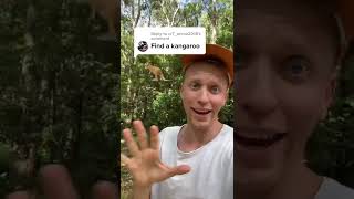 Finding WILD Kangaroos in Australia #shorts