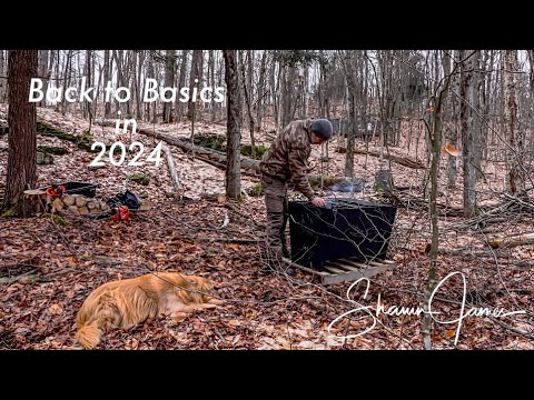 Clearing Forest for New Buildings, The Chainsaws I Use and Preparing for Maple Sugar Season