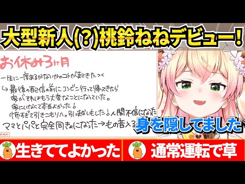 休止理由や休止期間中の出来事を話してくれる ねねちのデビュー(？)配信【ホロライブ/切り抜き】