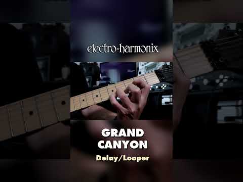 EHX Grand Canyon Delay & Looper Pedal Demo