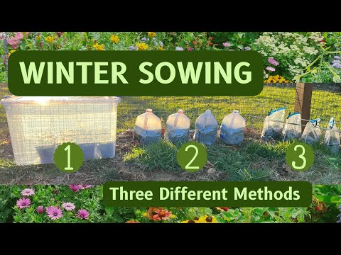 Winter Sowing THREE DIFFERENT WAYS - Can You Guess Which Method is the BEST??