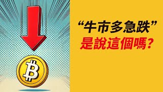 BTC跌下95000！“牛市多急跌”，是說這種嗎？該不該慌？