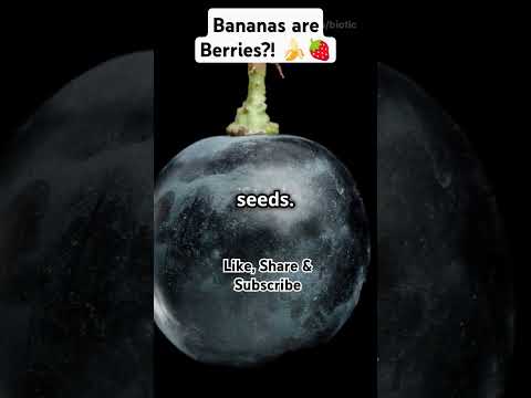 Bananas are Berries?! 🍌🍓 #facts #superfood #superfoodsecrets #fruit #nutritionfacts