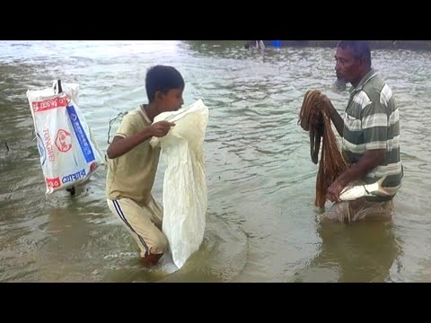 Amazing net fishing | Traditional Boy Big Fishing By Net In the road | Flood fishing video