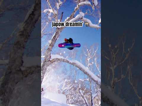 ⁠@ZebPowelll + Japow = winter dreams coming true 🤤 Full Zeb edit ▶️ on our YouTub channel 👀