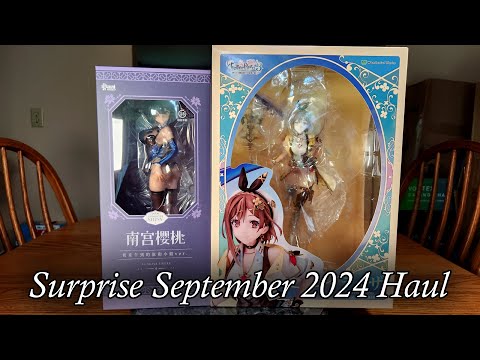 Surprise September 2024 Haul