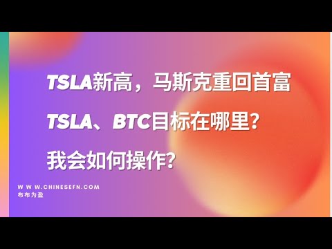 TSLA新高，马斯克重回首富；TSLA、BTC目标在哪里？我会如何操作？