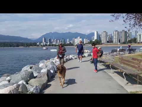 Vancouver Vanier Park/Maritime Museum/Sunset Beach/False Creek Ferries温哥华凡尼尔公园/海事博物馆/日落海滩/福溪河流和渡轮(5)