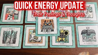 Quick Energy Update ❤️❤️ Their Feelings & Thoughts ❤️❤️ Timeless Tarot ❤️❤️ Hindi-Urdu