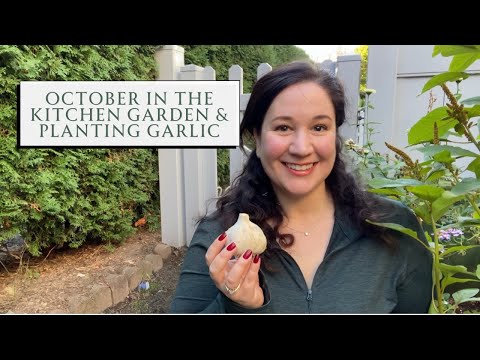 October in the Kitchen Garden 🌾🧄 Clearing the Garden & Planting Garlic  | SEASON & SERVE BLOG