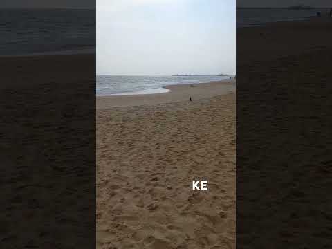 Beautiful Beach ⛱️ #shorts #youtubeshorts #kevlogs