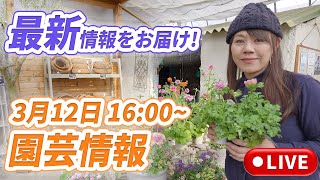 今寄せ植え作るなら！季節のお花情報！