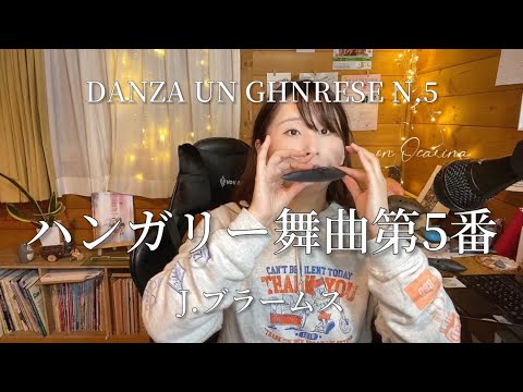 【オカリナ】ハンガリー舞曲第5番（DANZA UN GHERESE Ｎ．5）/J.ブラームス【Ocarina &Piano】