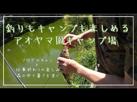 #31 釣りもキャンプも楽しめるアオヤマ園キャンプ場