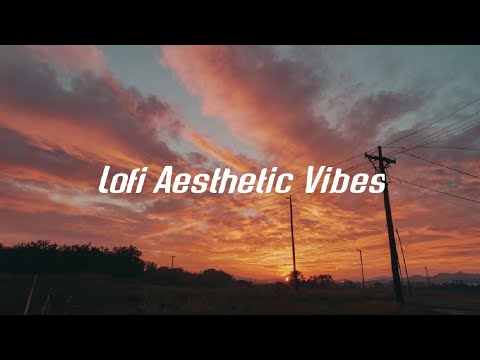 Lofi Aesthetic Vibes for Study & Relaxation#lofi #chill