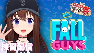 【Fall Guys: Ultimate Knockout】#ホロ新春ゲーム祭2025 練習しておこうかな？【ホロライブ/ときのそら】