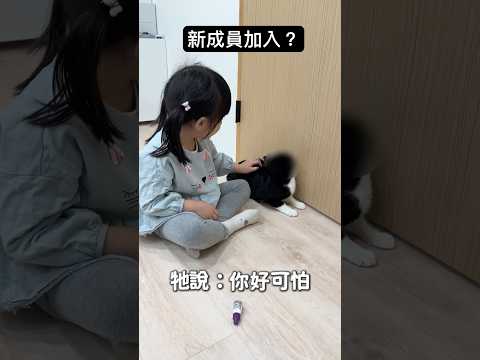 跟大家分享一位新朋友：Oreo 🐈‍⬛ ！！從零開始接觸 #流浪貓 ！｜營養師品瑄 #shorts