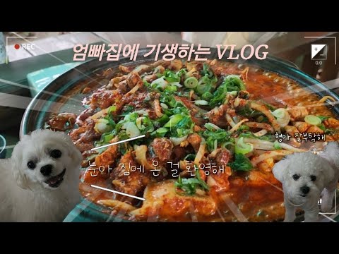 딸 백수가 되어 엄빠집에 기생하러 들어가다🫣 | 지리산 산청 흑돼지소라찜 맛집 돌담 | 카누 바리스타 캡슐 커피머신 브리즈