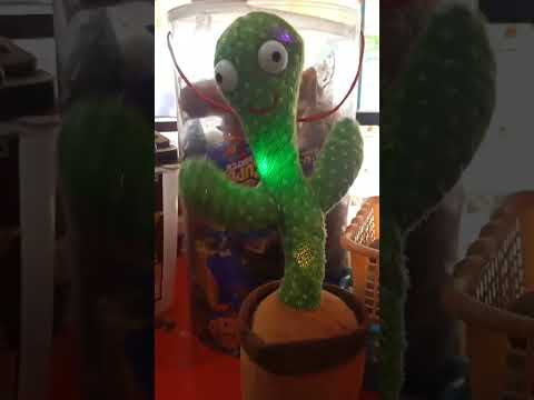 CACTUS DANCE VIDEO #funny #mkmahidancer22