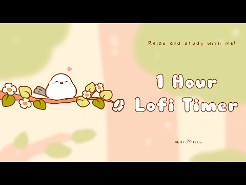 1 Hour - Relax & study with me Lofi | Bird forest #timer #1hour #1hourloop #lofi #relaxing