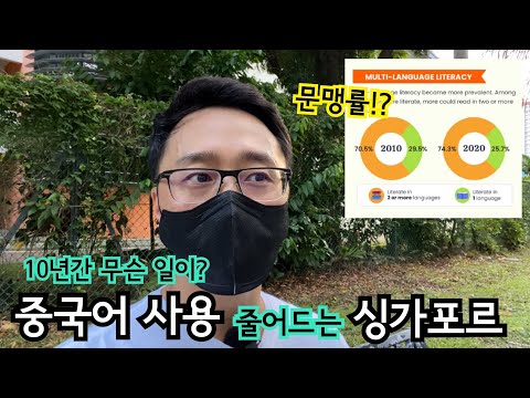 중국어 사용이 줄어드는 싱가포르 | 중국어와 영어 문맹률 | 이민생활 | 유학