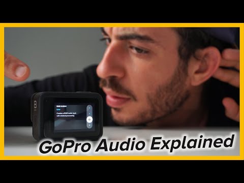 GoPro Manual Audio Control Explained | #Shorts