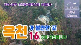 옥천여행에서 가볼만한곳 16곳을 추천합니다.｜Okcheon-gun