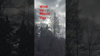 🎸🎶🎤Wind Up Missin’ You #WindUpMissinYou #trendingshorts #river